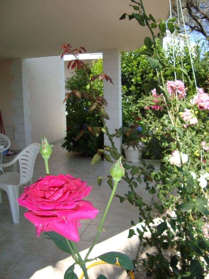 House in Krašići No. 2119, Tivat — property photo 18