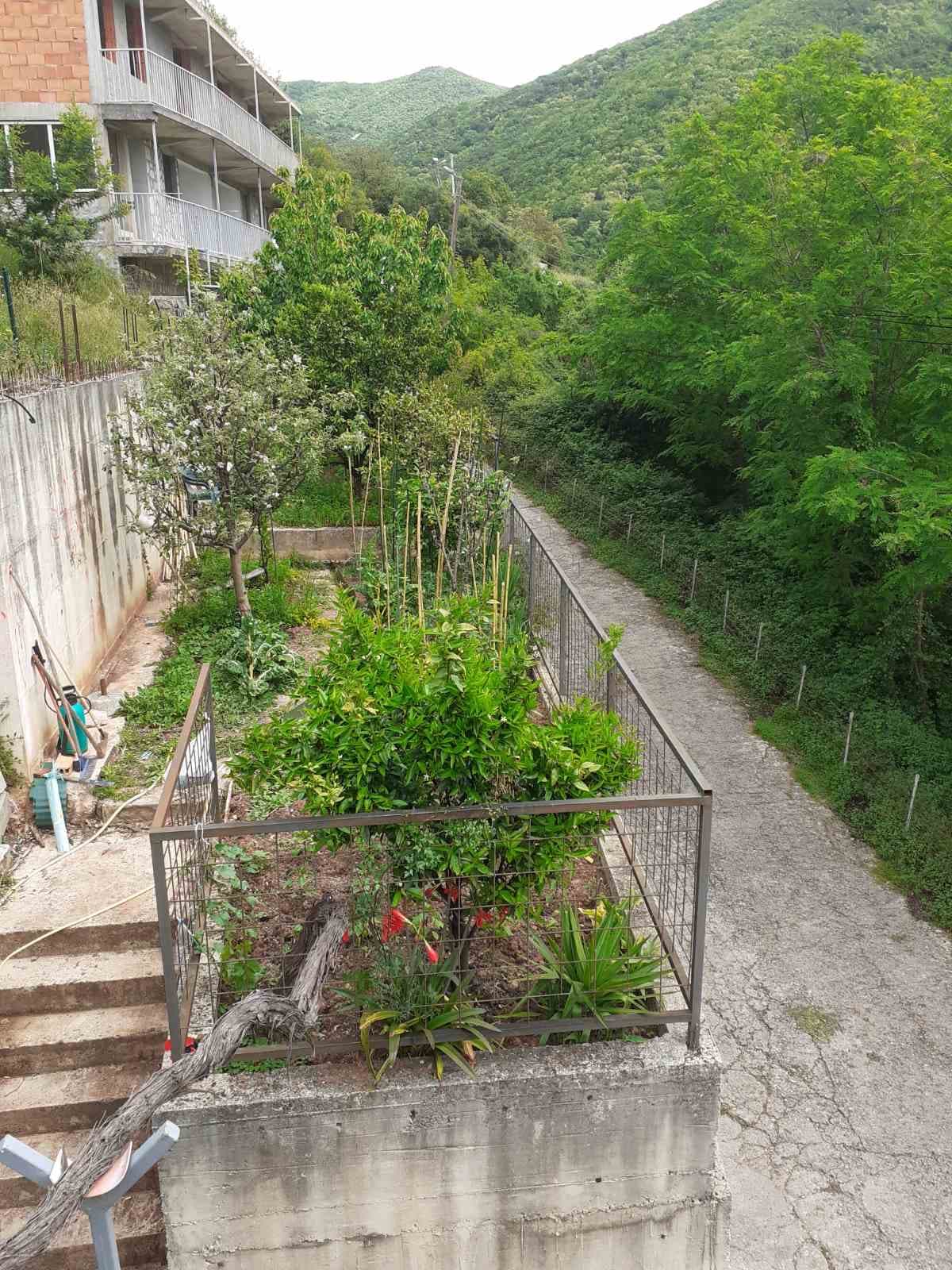 Mini-hotel in Zelenika No. 1712, Herceg Novi — property photo 3