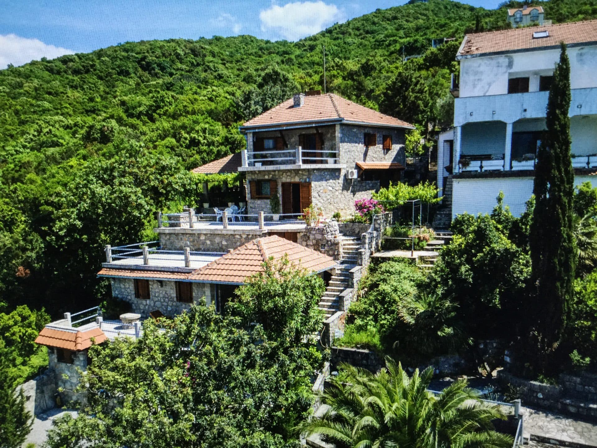 Villa in Rose on the First Line No. 1653, Herceg Novi — property photo 2