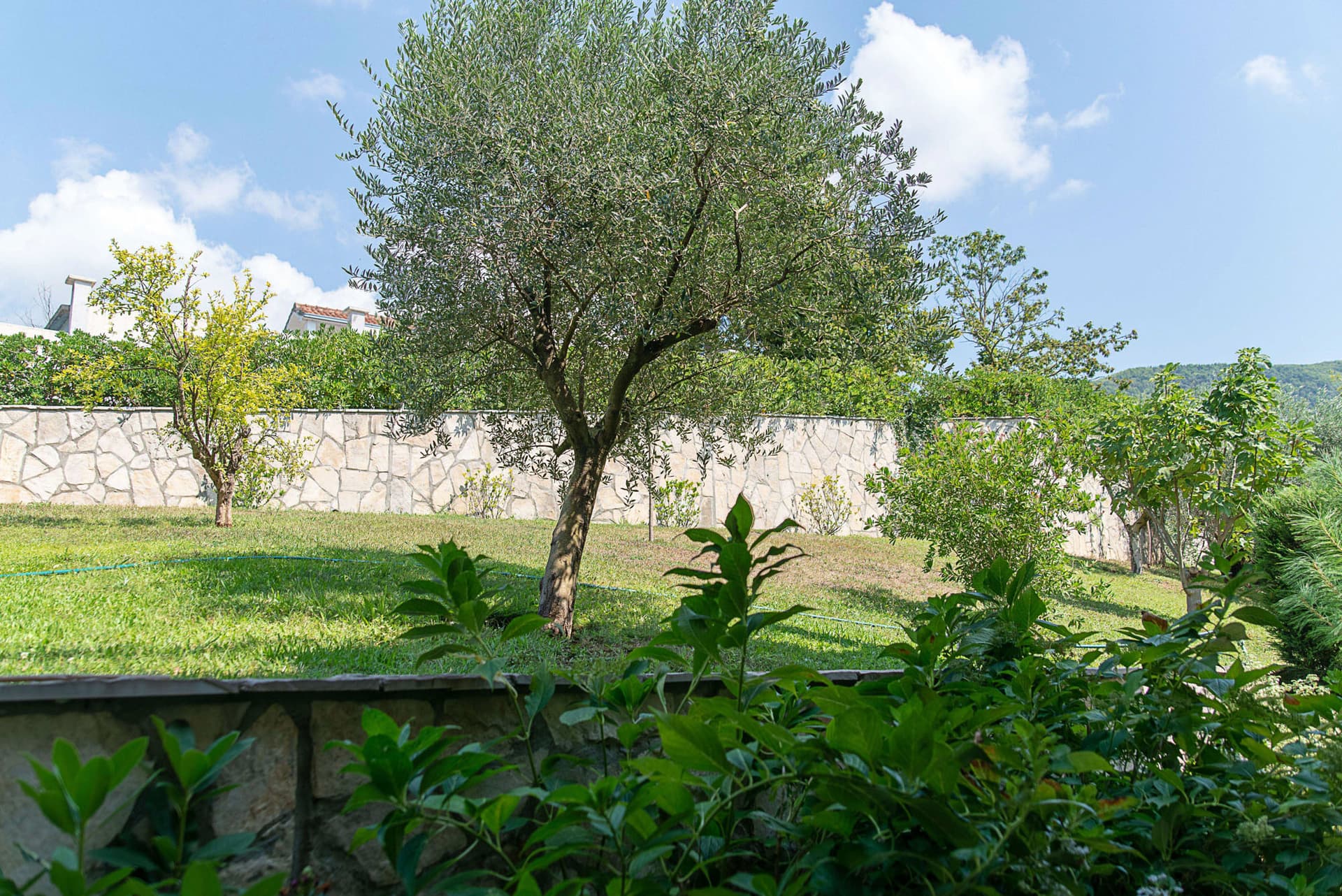 Townhouses in Lastva No. 664, Budva, Budva — property photo 33