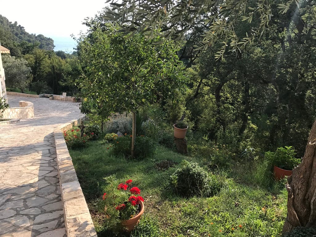 Apartment in Petrovac No. 2489, Budva — property photo 30