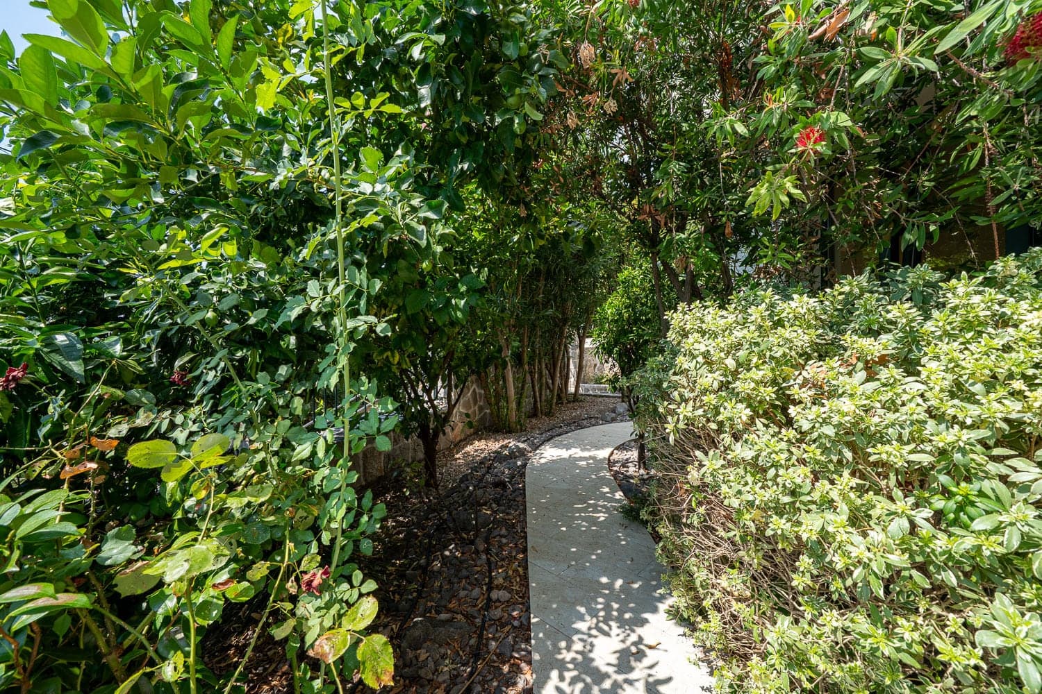 Villa in Tivat No. 2891 — property photo 11