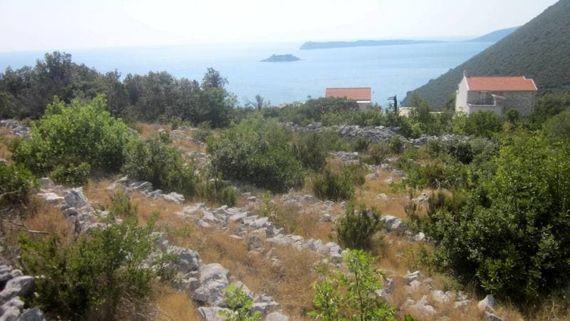 Grundstück in Žanjice Nr. 1543 — Herceg Novi