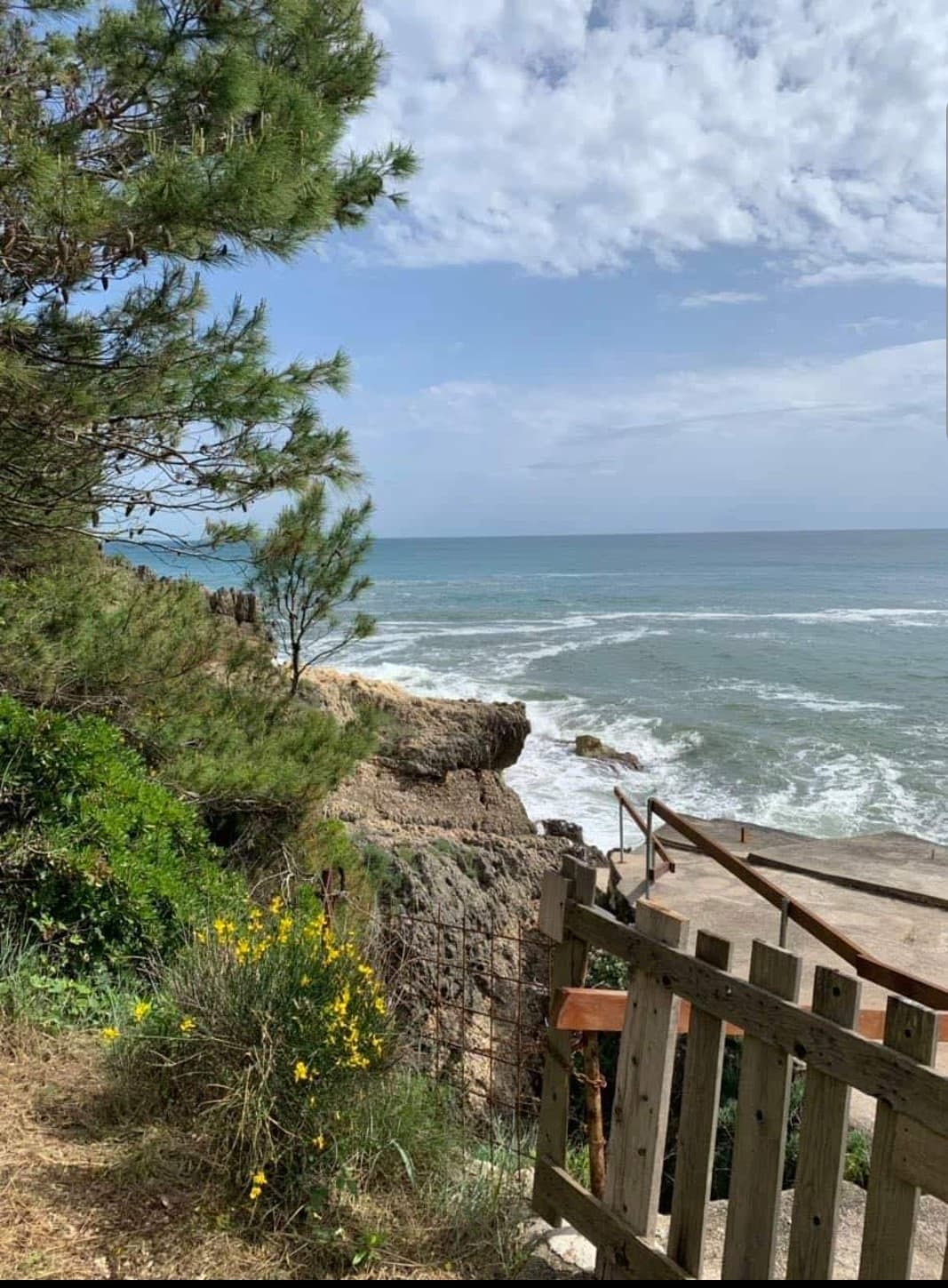 Grundstück in Ulcinj Nr. 1236
