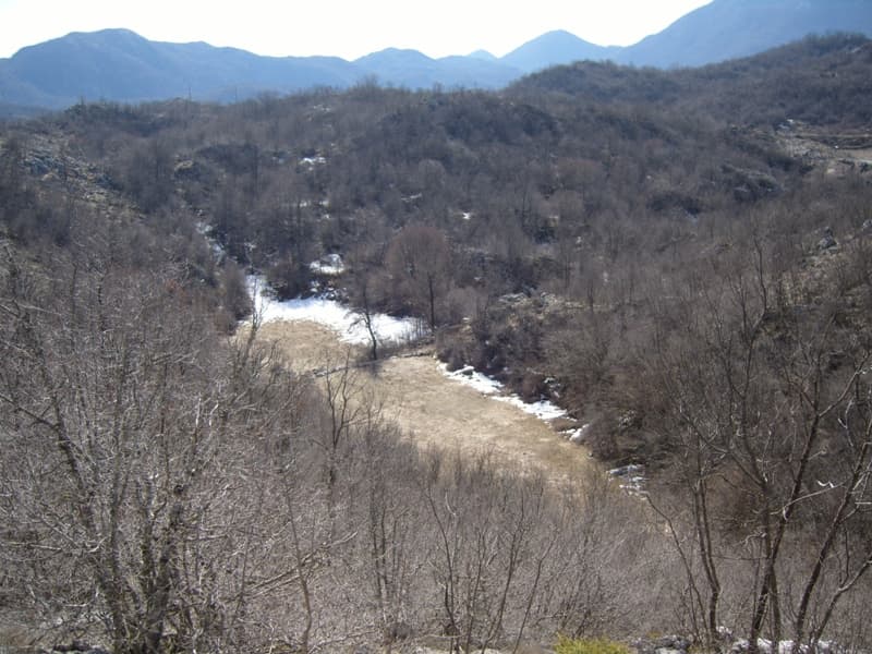 Grundstück in Cetinje Nr. 862