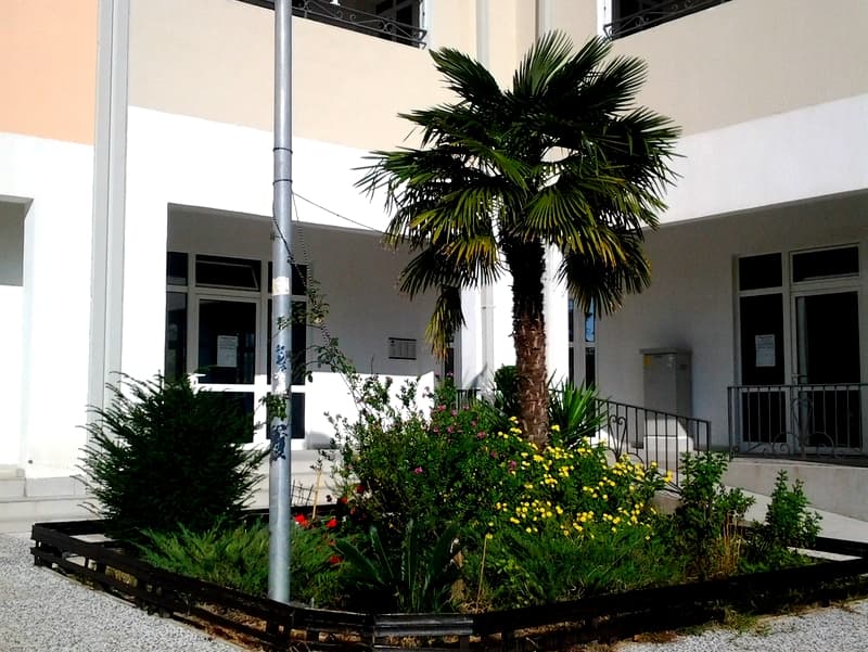 Apartment in Bar No. 738
