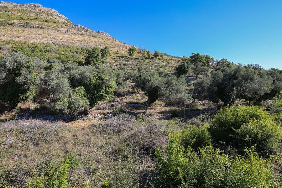 Land Plot in Reževići No. 681 — Budva
