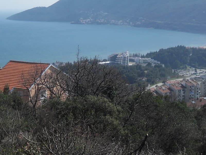 Land Plot in Herceg Novi No. 454
