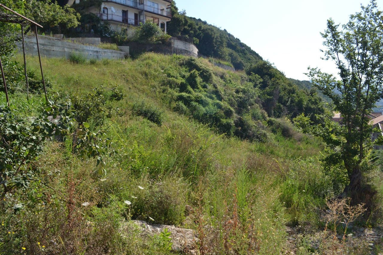 Land Plot in Herceg Novi #133